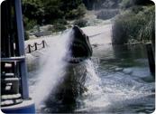 Copyright  1996 Erich Nager